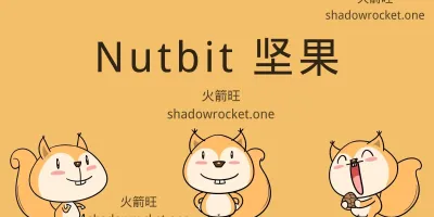 Nutbit 坚果机场怎么样 – SS 机场推荐 | 专线机场 Nutbit 坚果机场怎么样 – SS 机场推荐 | 专线机场