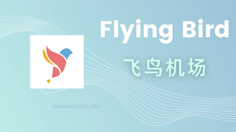 FlyingBird 🐦飞鸟机场怎么样 - SS 机场推荐 | IPLC 专线