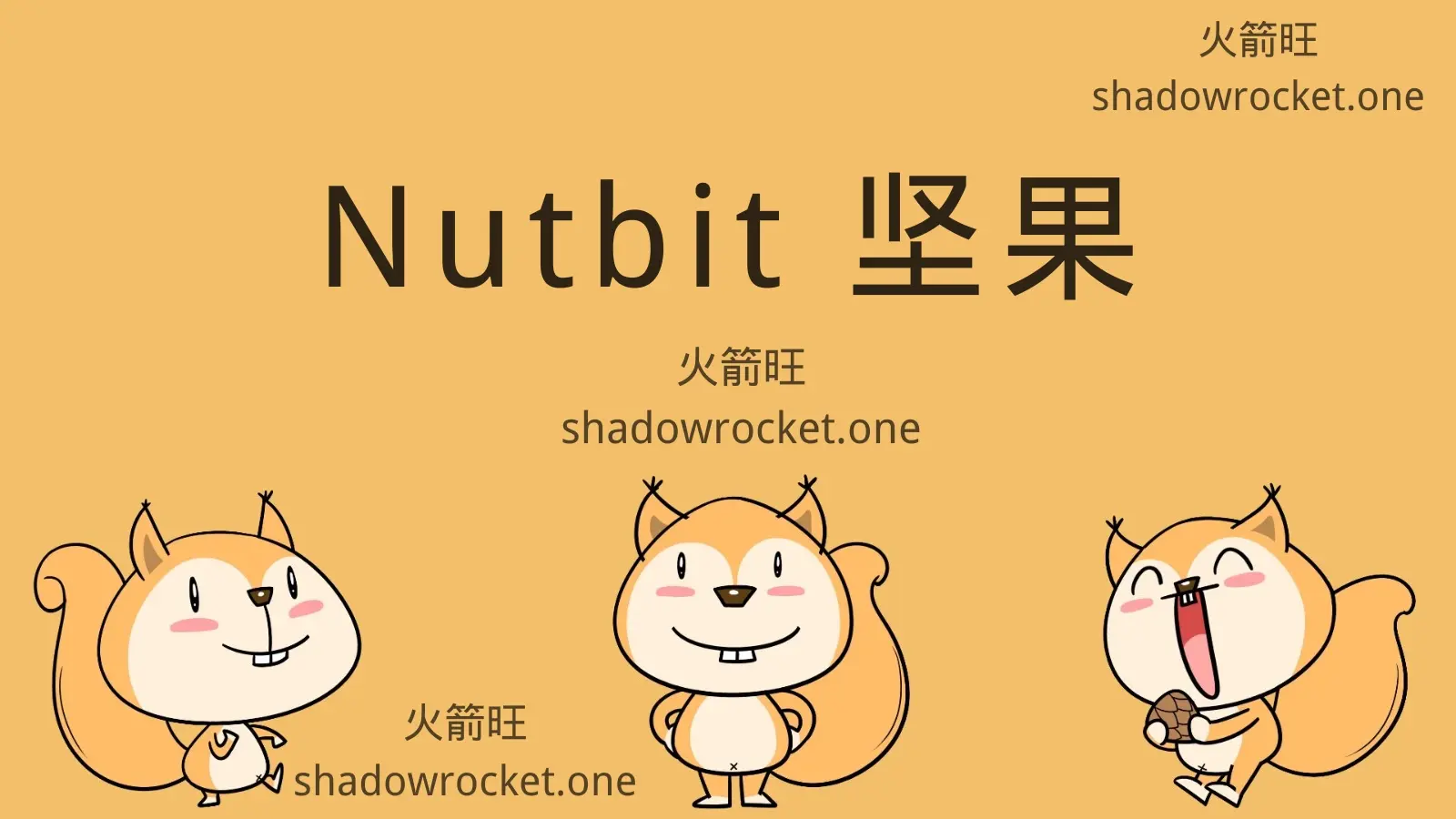 Nutbit 坚果机场